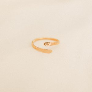Entangled Ring